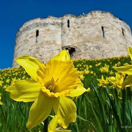 아파트 Tower 58funky, Central, Free Parking *